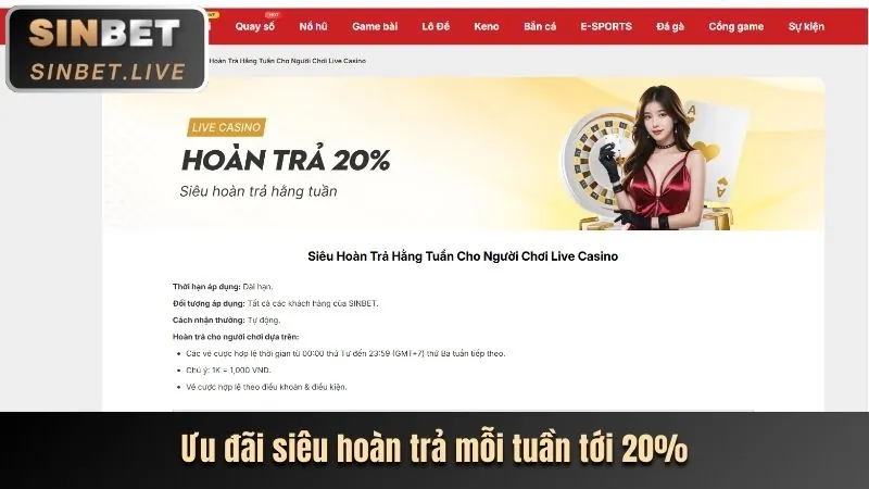 Xu hướng cá cược trực tuyến tại Việt Nam